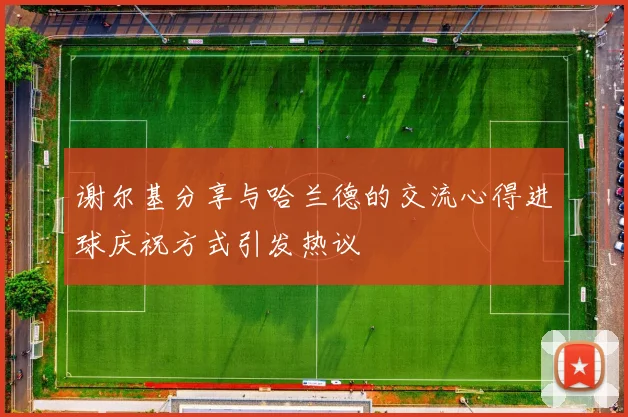 谢尔基分享与哈兰德的交流心得进球庆祝方式引发热议