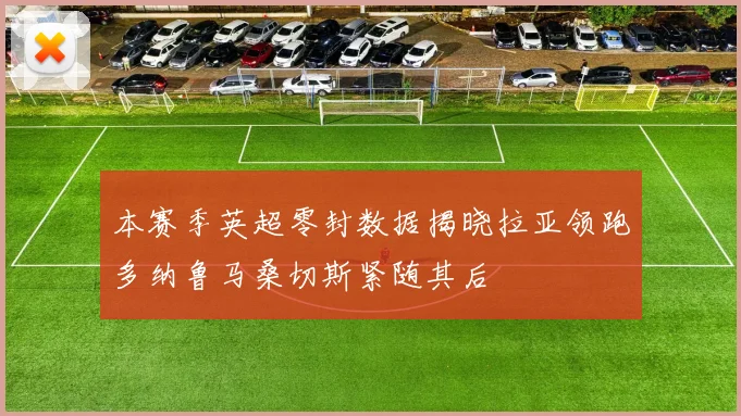 本赛季英超零封数据揭晓拉亚领跑多纳鲁马桑切斯紧随其后