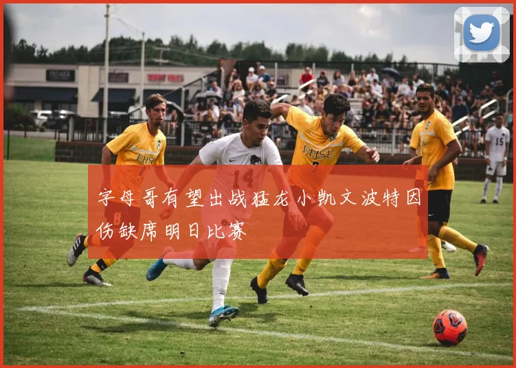 字母哥有望出战猛龙小凯文波特因伤缺席明日比赛