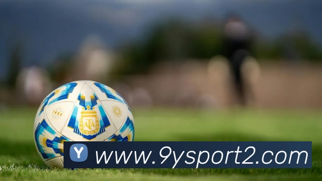 九游足球APP 封面图